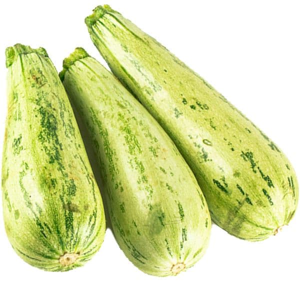 Abobrinha italiana