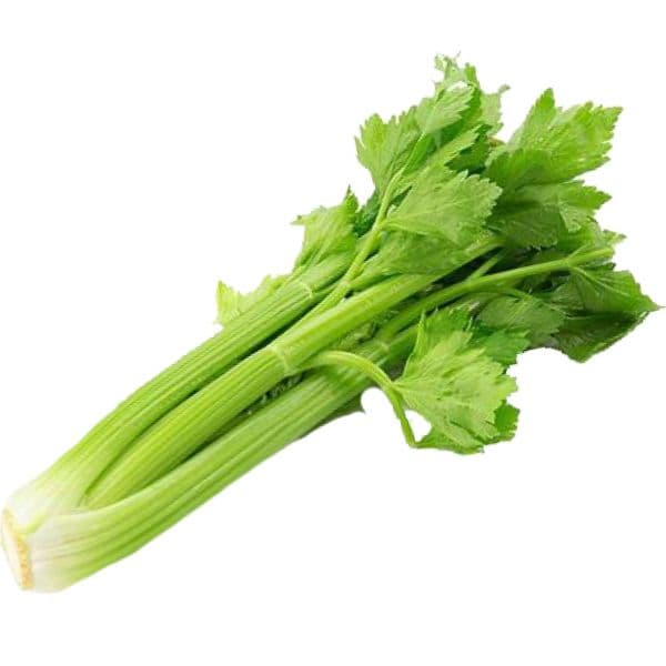 Salsão