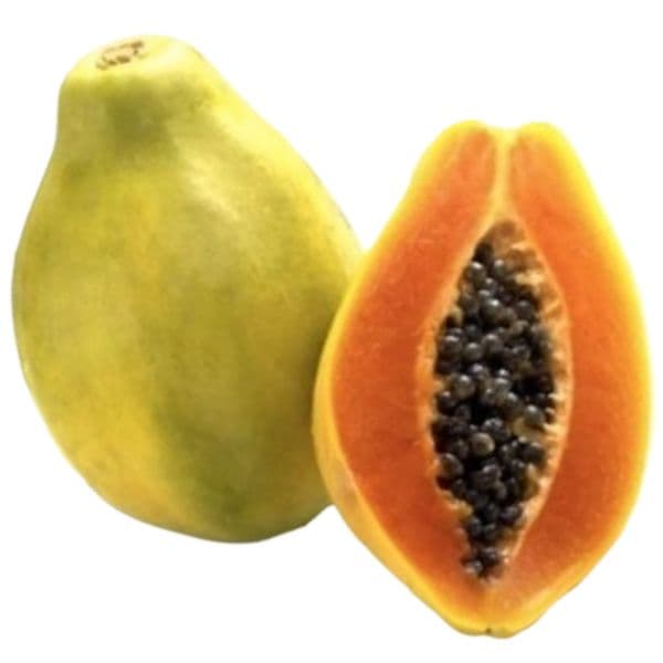 Mamão papaya