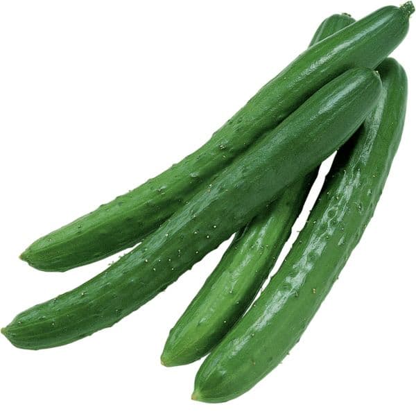 Pepino japonês