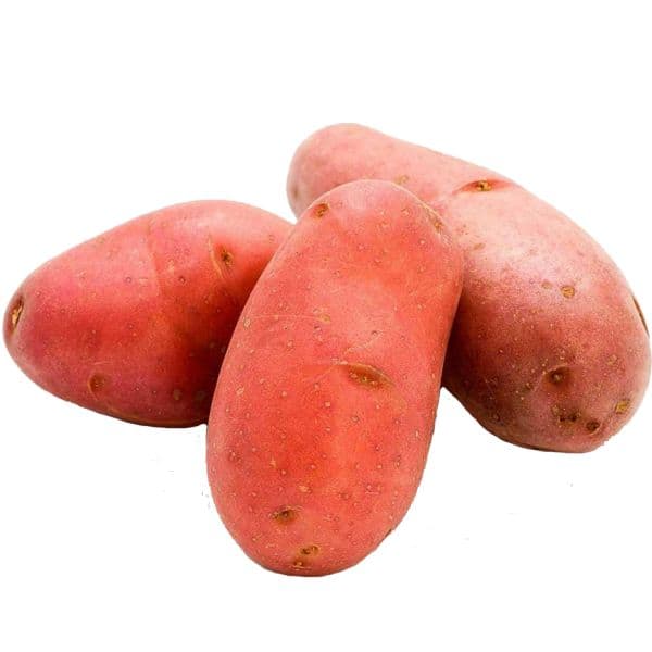 Batata asterix