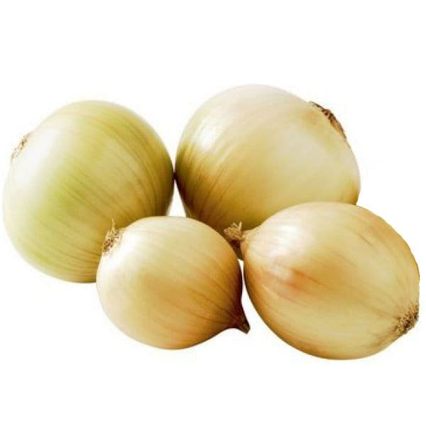 Cebola média
