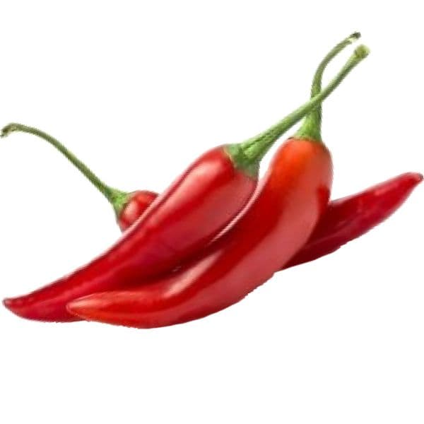 Pimenta dedo de moça