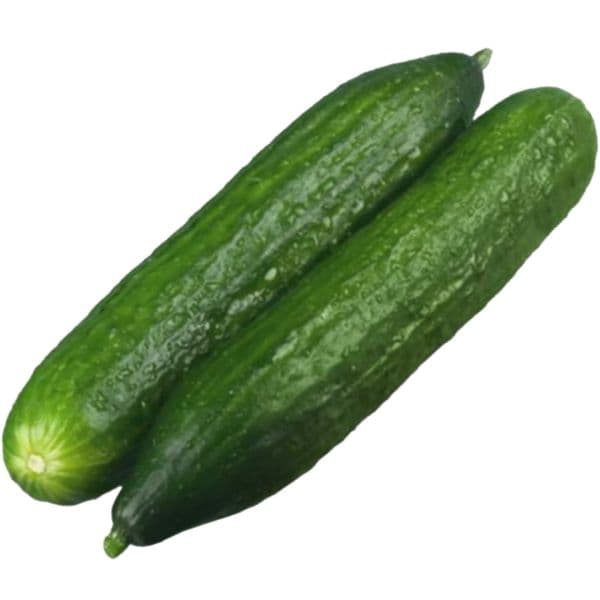 Pepino comum