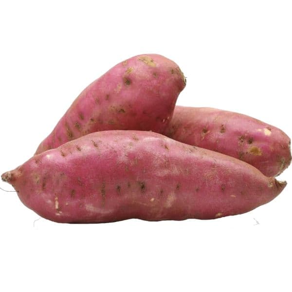 Batata doce graúda
