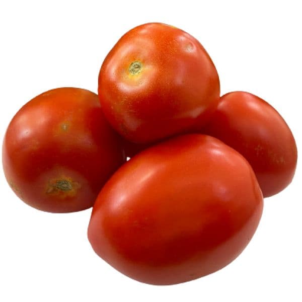 Tomate Italiano 3A Molho