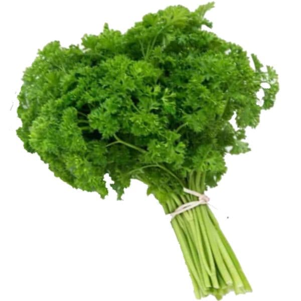 Salsa crespa