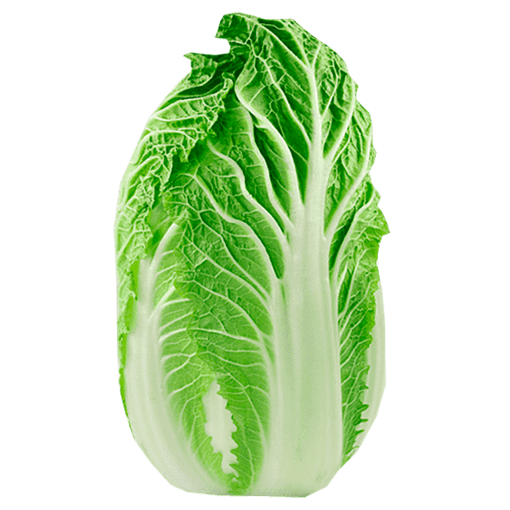 Acelga