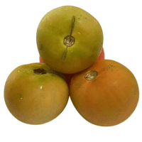 Tomate Carmem Salada