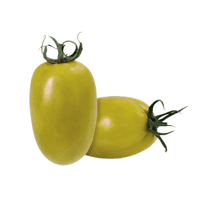 Tomate Italiano 3A Verde