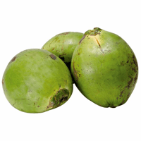 Coco verde