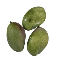 Manga palmer verde