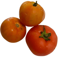 Tomate Carmem Molho
