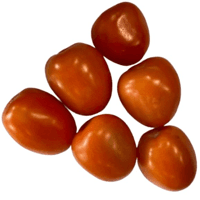 Tomate Italiano 2A Molho