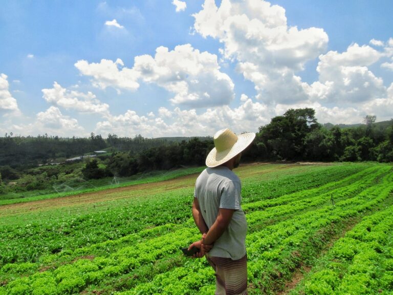 Bruno, produtor parceiro, e sua plantação em Piedade, São Paulo.